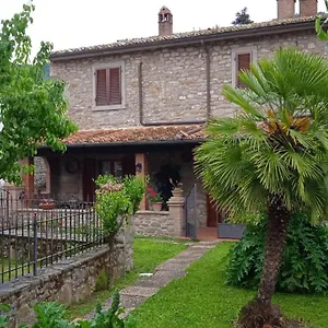 Magnolia , Cortona Italia